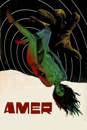 Amer-2009